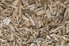 biomass boilers Sandale